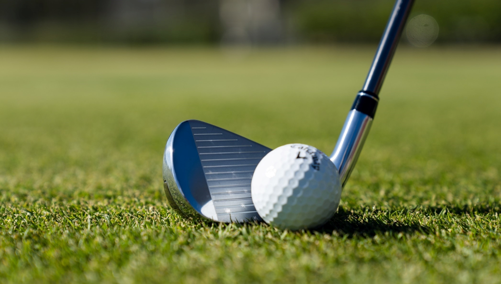 Golf Clothing Shop -Golf Clothing Shop GBB Iron Lifestyle 01 ECPC 9 20 22 1131 h